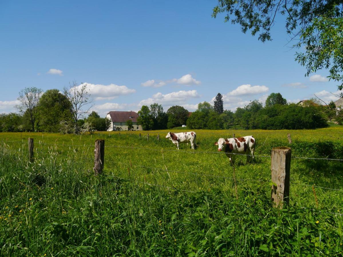 La Maison Au Vert Melincourt ภายนอก รูปภาพ